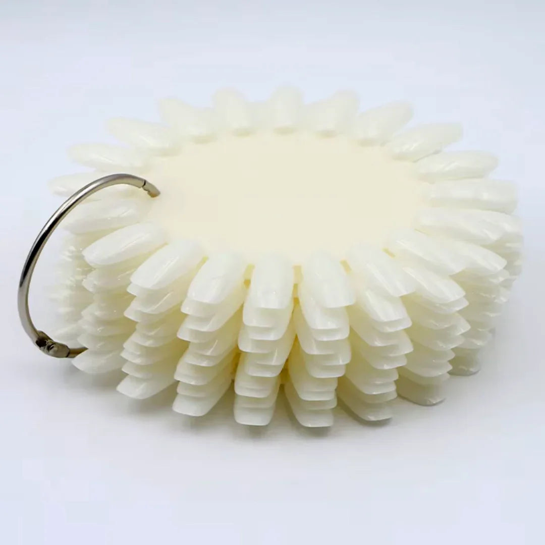 Nail Art Practice Wheel Natural 10PCS - Shills Professional