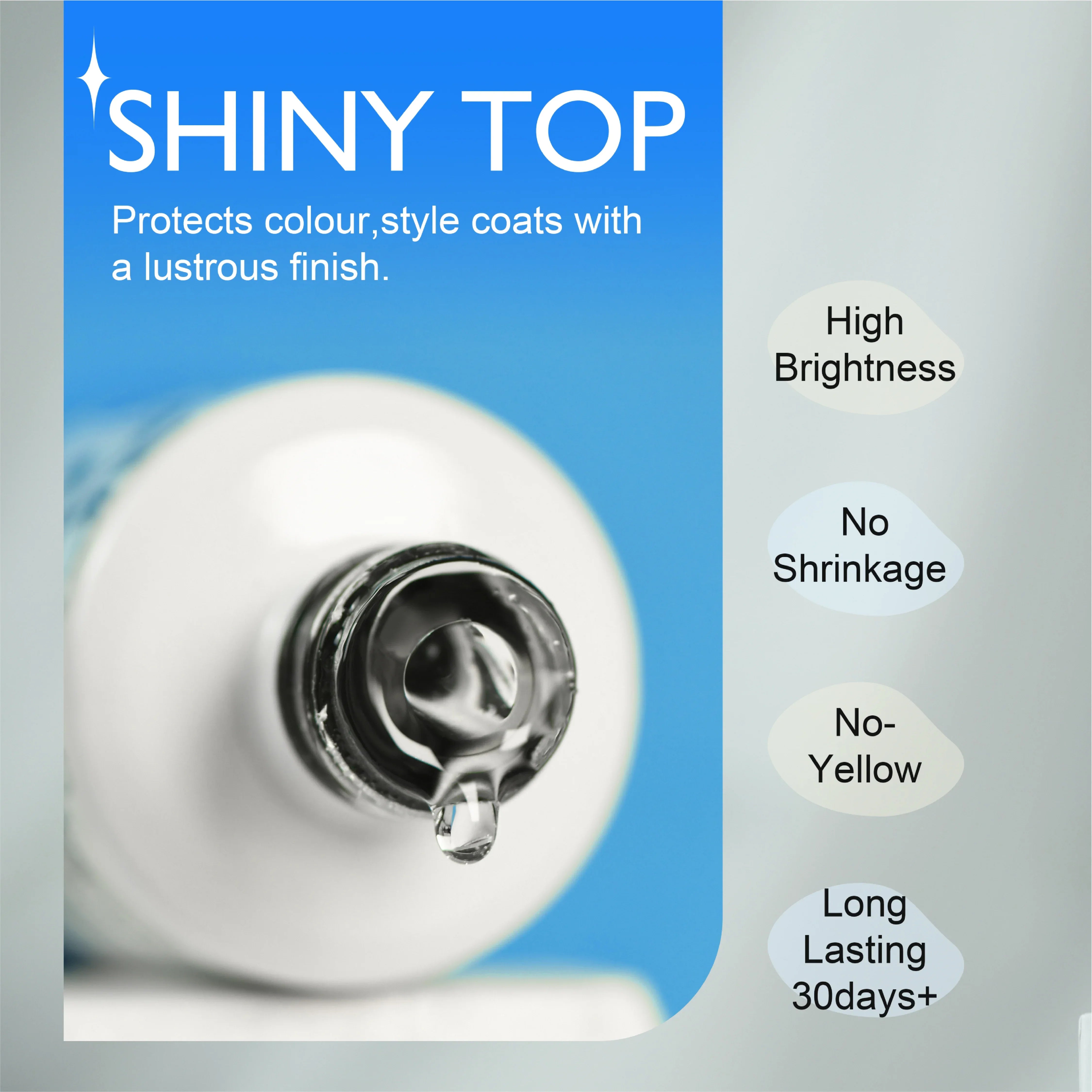 Shiny Top Coat - Shills Professional