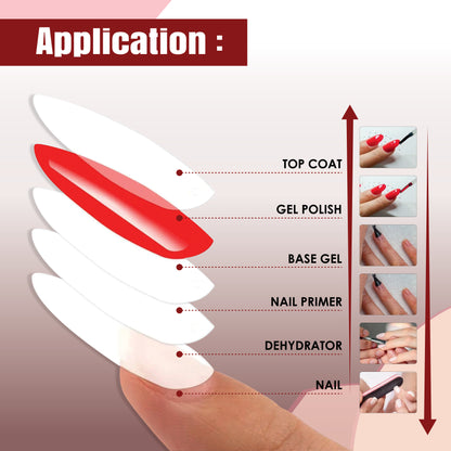 Drama Is Over Burgundy Bloom