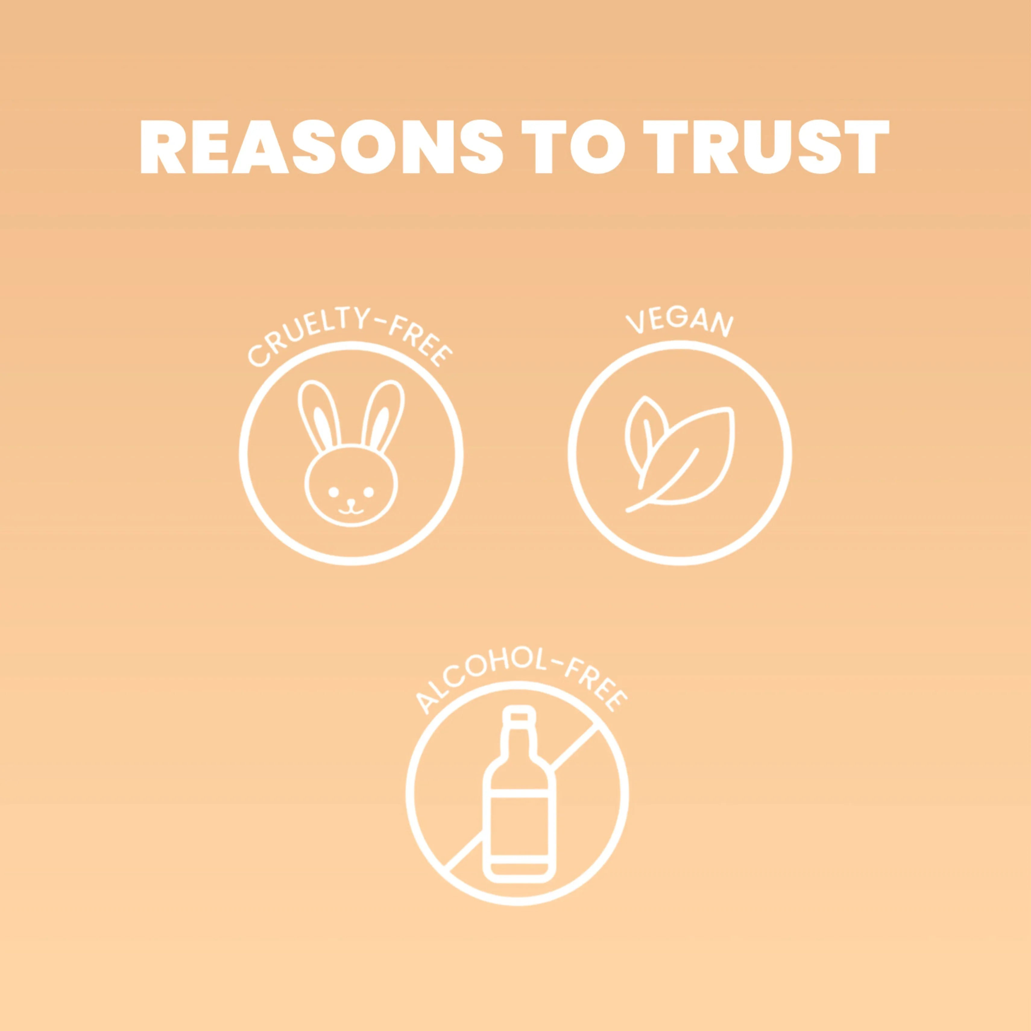 Complete Coverage Concealer - Shills Professional