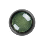 CHROME POWDER 001 - Shills Professional