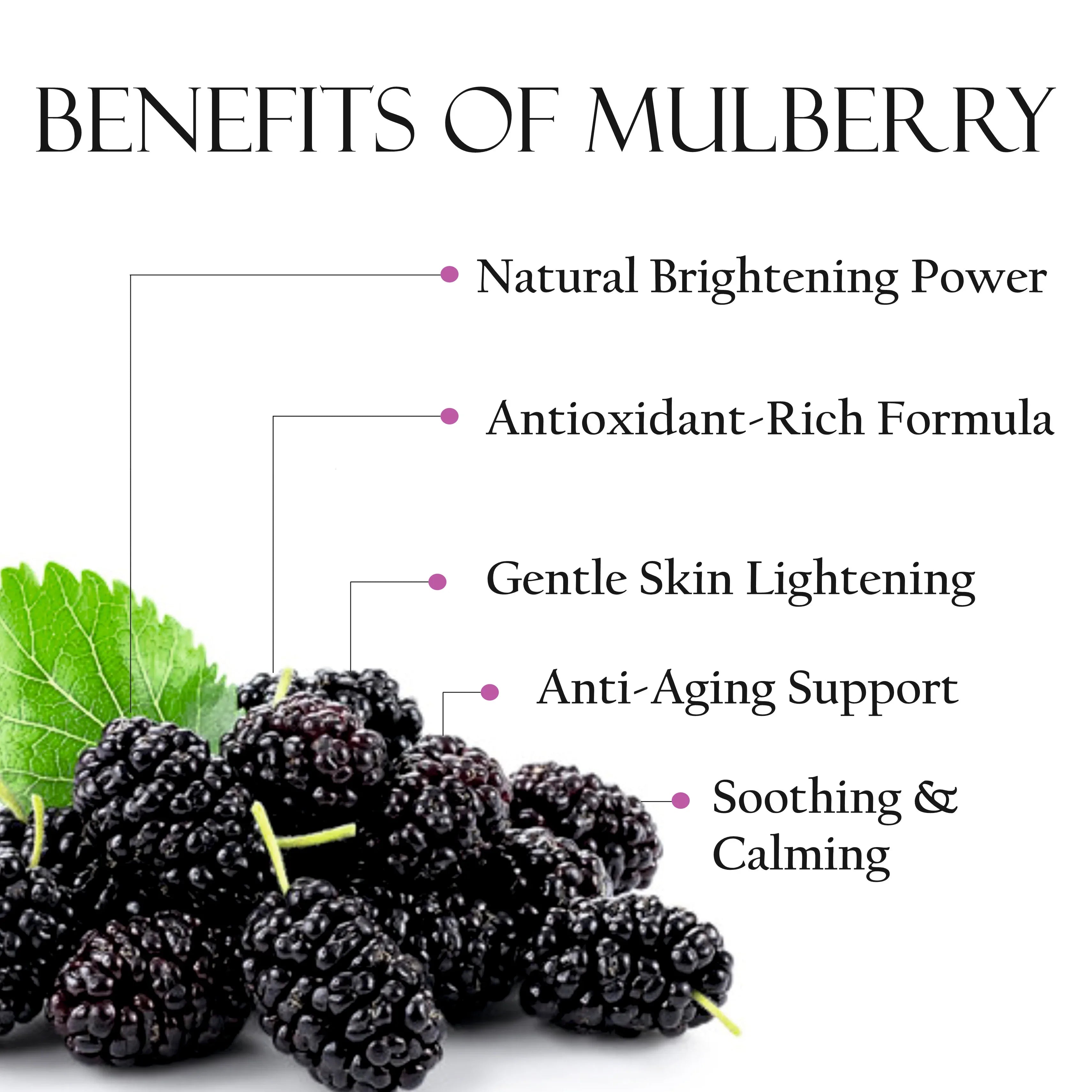 Mulberry Fruit Face Sheet Mask - Shills Professional