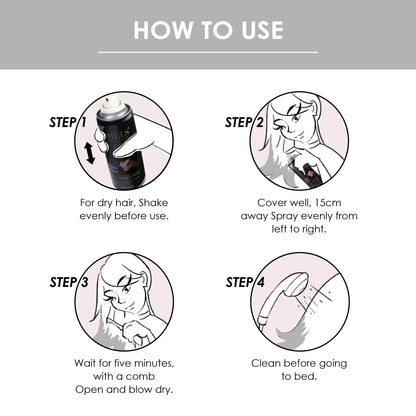 Color Hair Spray (HS-SILVER) - Shills Professional