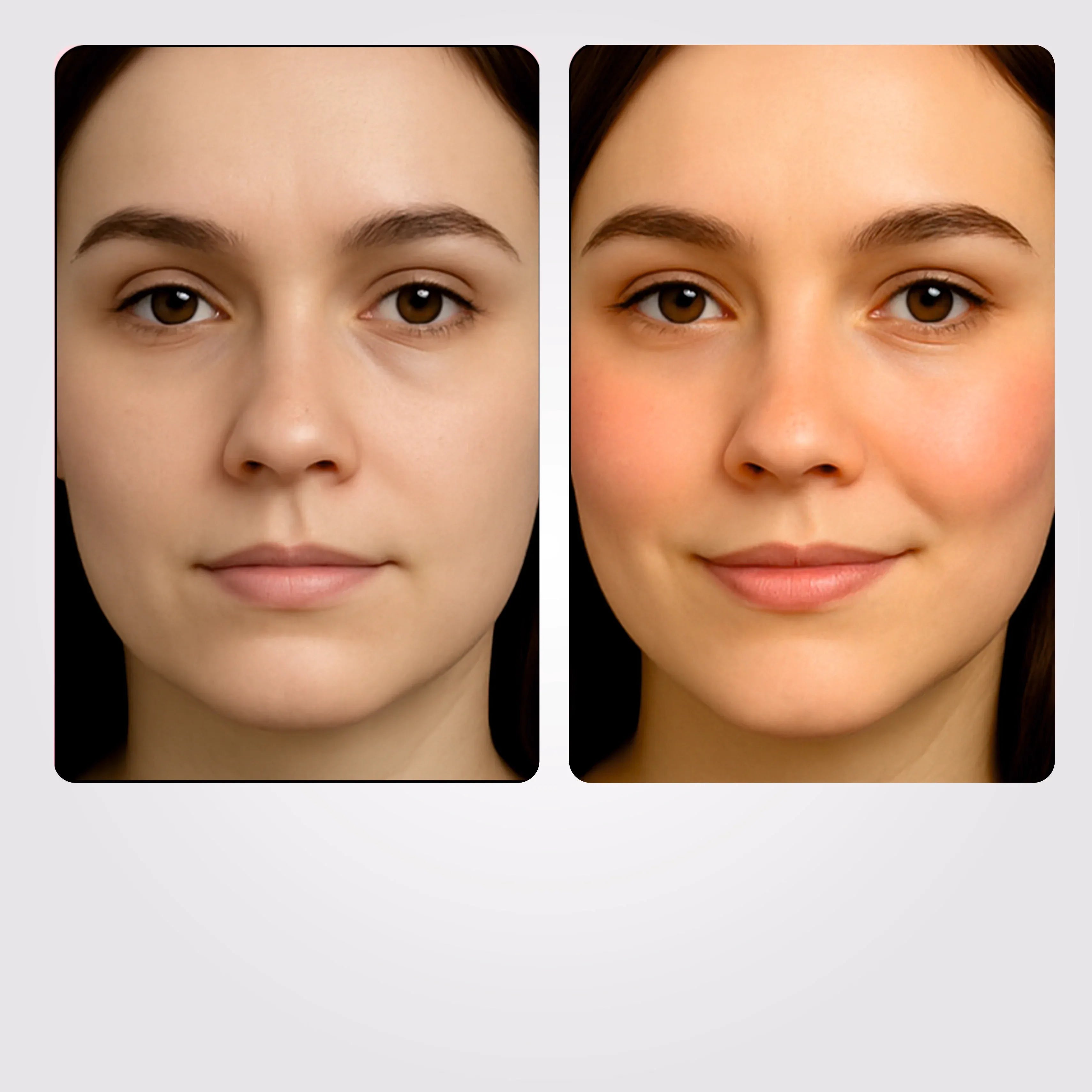 The Rouge Blusher Palette - Shills Professional