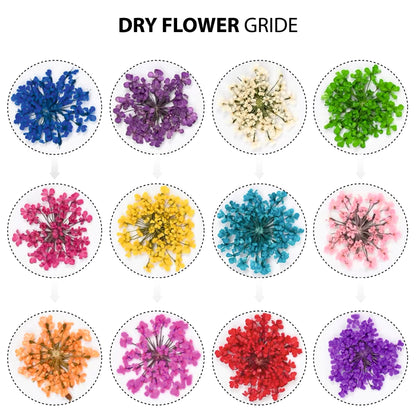Dry Flower - Shills Professional