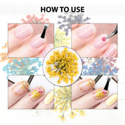 Dry Flower - Shills Professional