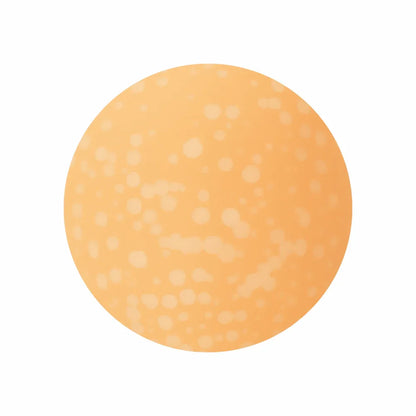 Snowflake Gel Polish - Shills Professional