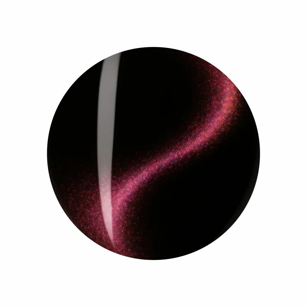 9D Cat Eye Gel Polish - Shills Professional