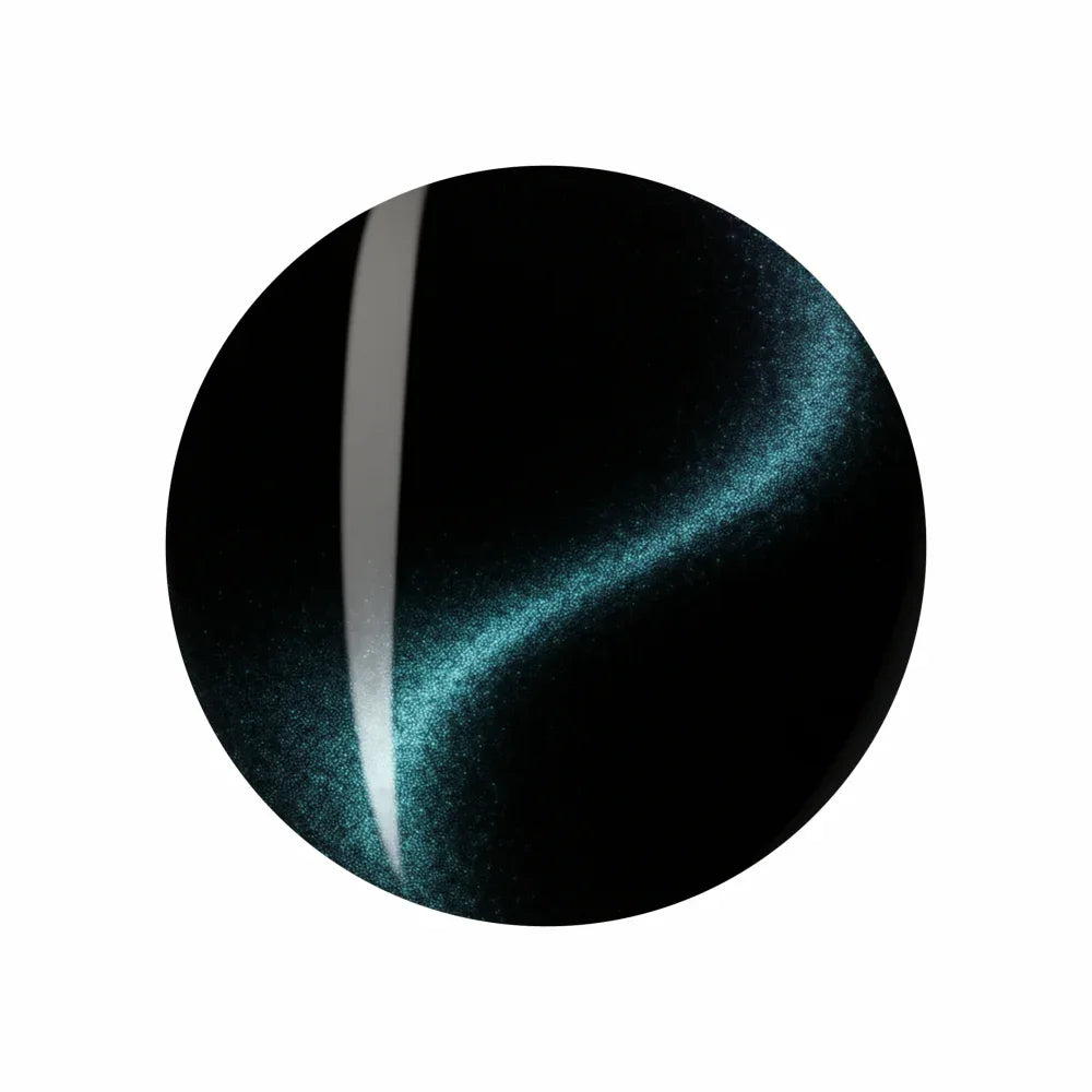 9D Cat Eye Gel Polish - Shills Professional