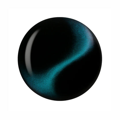 9D Cat Eye Gel Polish - Shills Professional