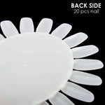 Nail Art Practice Wheel Natural 10PCS - Shills Professional