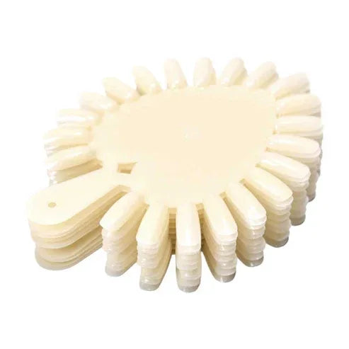 NAIL STAND Leaf Practice Nail Palette Natural - Shills Professional