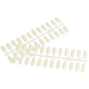 NAIL STAND Shade Card - Shills Professional