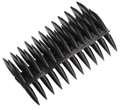 7pc Mix Glitter SPN-21111 - Shills Professional