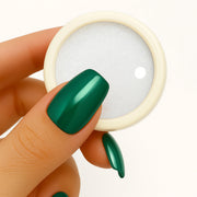 Unicorn Chrome Powder - Shills Professional