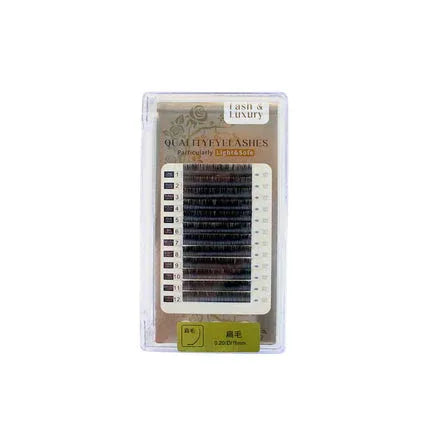 Classic Eyelash-Y-D - Shills Professional